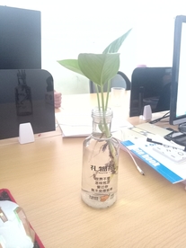 礼物瓶