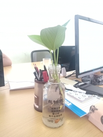 礼物瓶