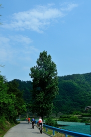 风景