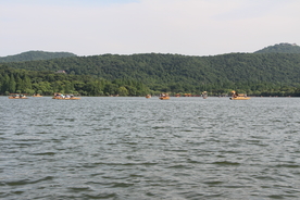 风景