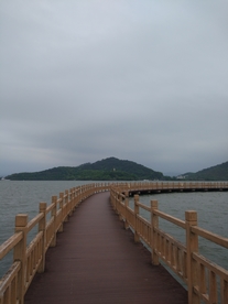 风景