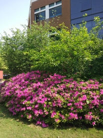 风景