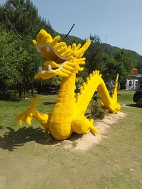 风景
