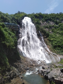风景