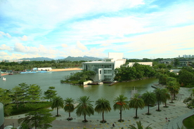 风景