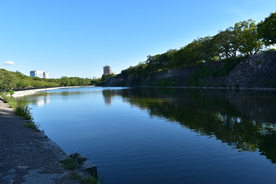 风景