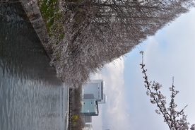 风景