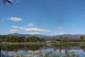 风景