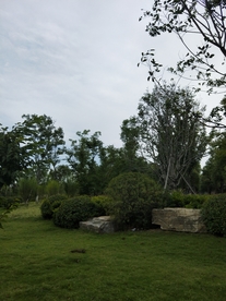 风景