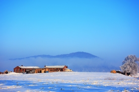 风景