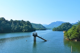 风景