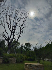 风景