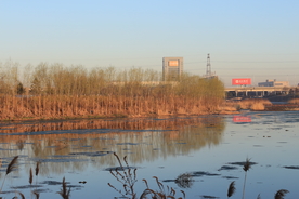风景