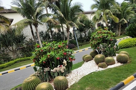 风景