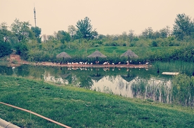 风景