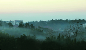 风景