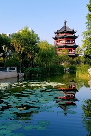 风景