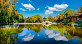 风景