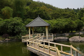 风景