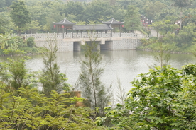 风景