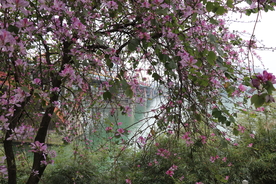 风景