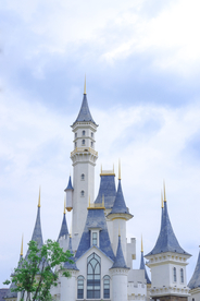 风景