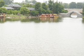 风景