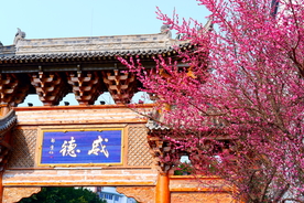 风景