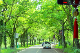风景