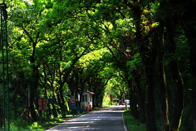风景