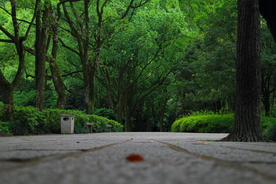 风景