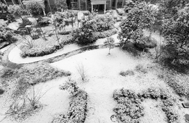 雪地