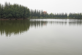山水