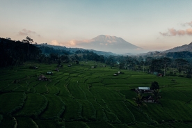 风景
