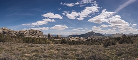 风景