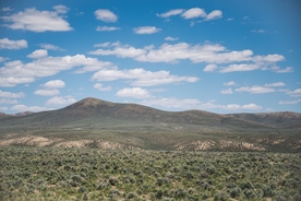 风景