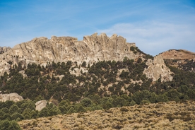 风景