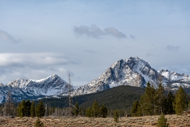 风景