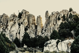 风景