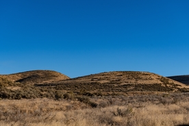 风景