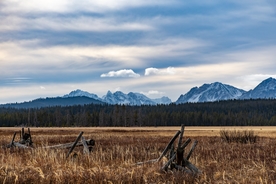 风景