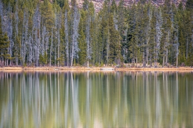 风景