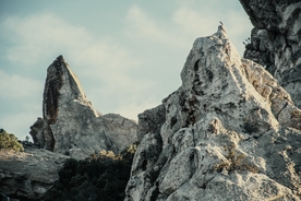 风景