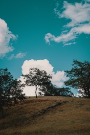 风景