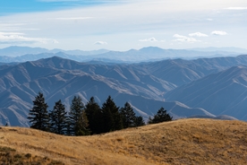 风景