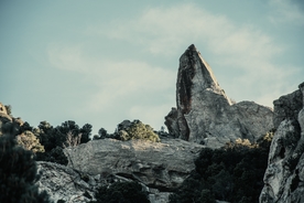 风景