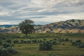 风景