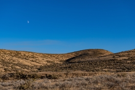 风景
