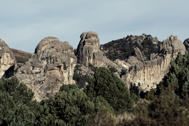 风景
