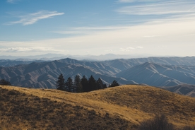 风景